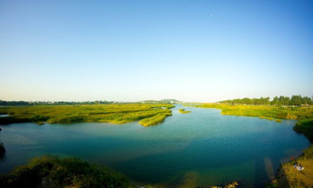 How Vegetation and Water Help Cool the Air